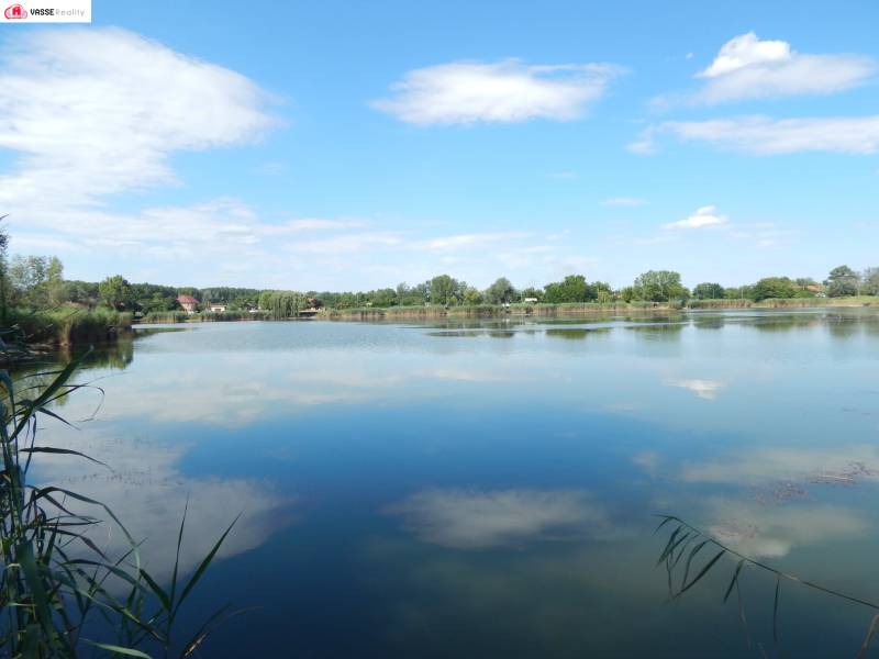 Der See bei Klížska Nemá, umgeben von Bäumen und Schilf, mit einem ruhigen Himmel.