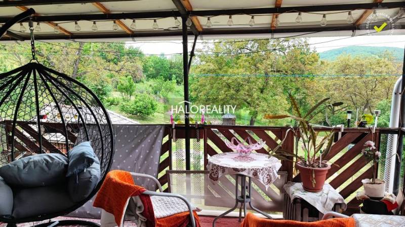 Die Terrasse des Einfamilienhauses mit Schaukel und Pflanzen bietet einen Blick ins Grüne.
