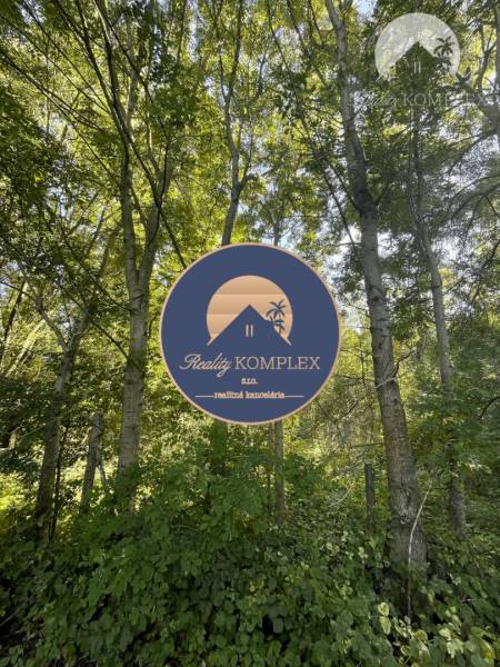 Der Wald in der Gegend von Veľké Blahovo ist von Bäumen und üppiger Vegetation umgeben.