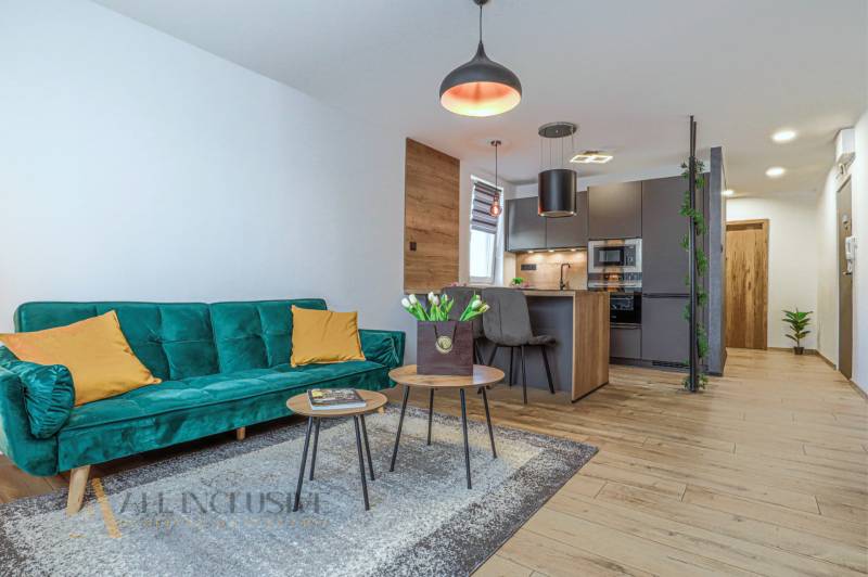 Wohnzimmer mit Sofa und Küche in einer 3-Zimmer-Wohnung.