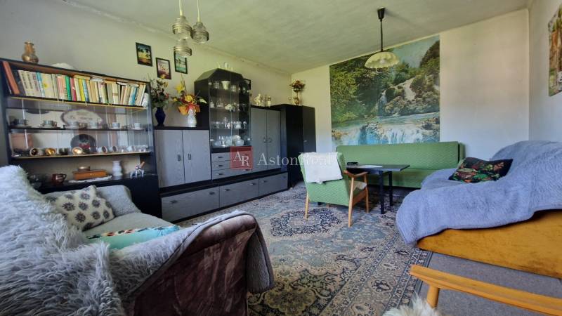 Wohnzimmer in einem Einfamilienhaus, Bibliothek, Dekorationen, Sofas, Teppich mit Blumenmuster.