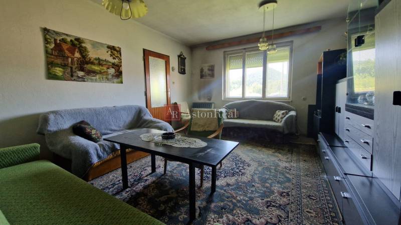 Wohnzimmer eines Einfamilienhauses mit Sofas, Tisch und Vitrine, dekoriert mit einem Bild an der Wand.