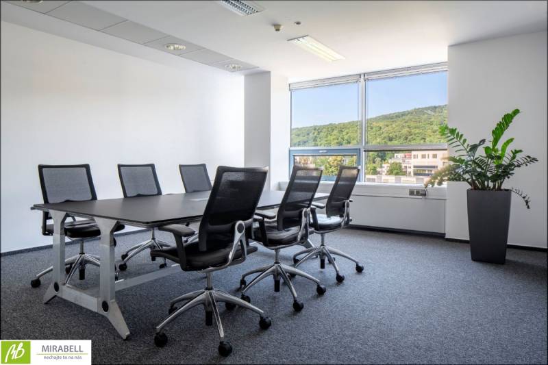 Kanzleien mit Konferenztisch und Stühlen, Fenster mit Blick auf Grünflächen.