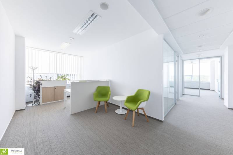 Helles Büro mit bequemen Stühlen und einem Konferenztisch, dekoriert mit Pflanzen.