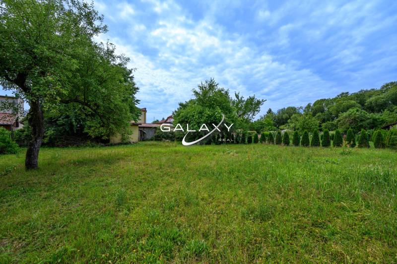 Ein Garten mit Rasen und einem Baum bei einem Einfamilienhaus in Vidiná, umgeben von grüner Natur.