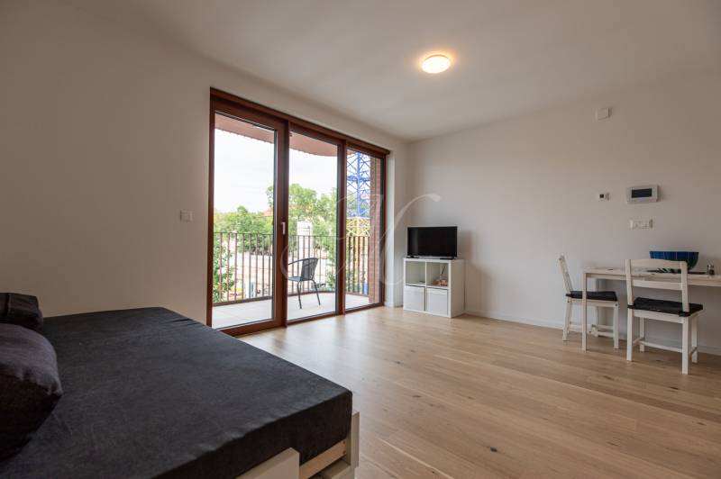 Helles Zimmer mit Bett, Fernseher, Tisch und Balkon in einer Einzimmerwohnung.