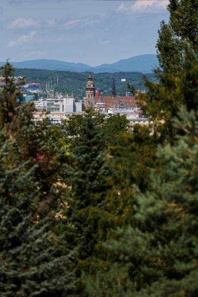 Panorama von Košice mit Blick auf historische Gebäude, umgeben von Grünflächen und Bergen im Hintergrund.