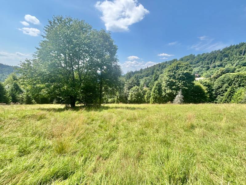 Schönes grünes Grundstück in Oščadnica in Dedovka, geeignet zum Wohnen, umgeben von Natur.