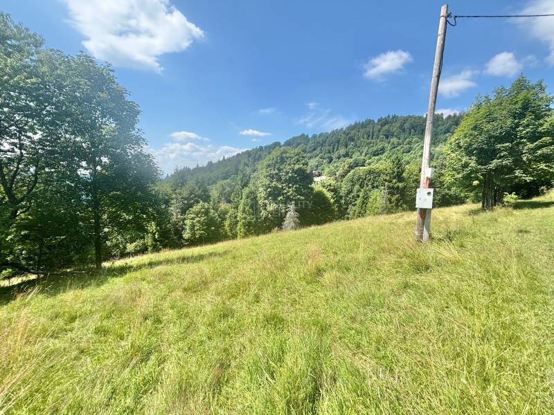 Ein Blick auf eine grüne Wiese mit einem Waldhintergrund in der Gegend von Oščadnica in Dedovka, geeignet für Grundstücke - Wohnen.