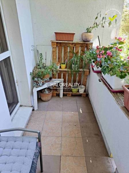 Der Balkon einer 3-Zimmer-Wohnung, überfüllt mit Blumen und Pflanzen, mit einem bequemen Stuhl.