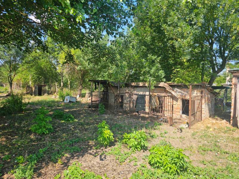 Ein Garten in Hronovce mit verlassenen Gebäuden eines Einfamilienhauses, umgeben von Bäumen.