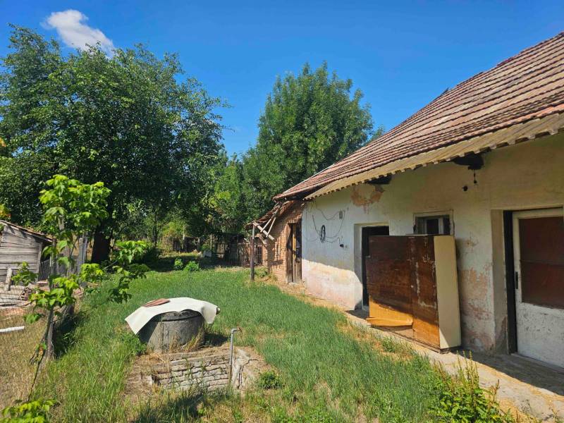 Garten mit Rasen, Bäumen und einem alten Familienhaus in Hronovce.