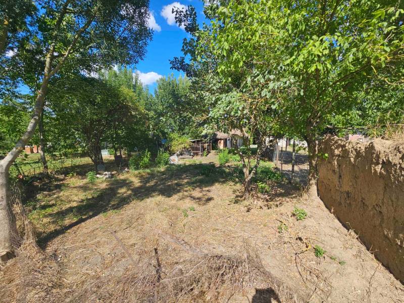 Der Garten des Einfamilienhauses in Hronovce mit Rasen und Bäumen an einem sonnigen Tag.