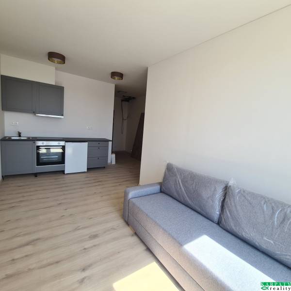 Innenraum einer Einzimmerwohnung mit Küchenzeile und grauem ausziehbarem Sofa.