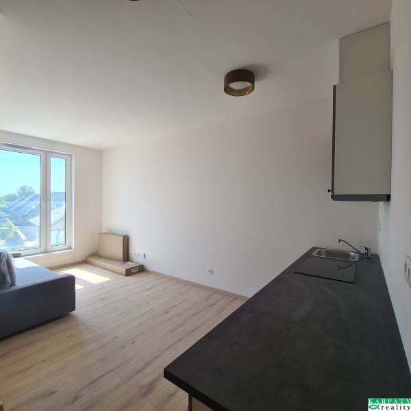 Helles Wohnzimmer mit Küchenzeile in einer Einzimmerwohnung, Holzböden, großes Fenster.