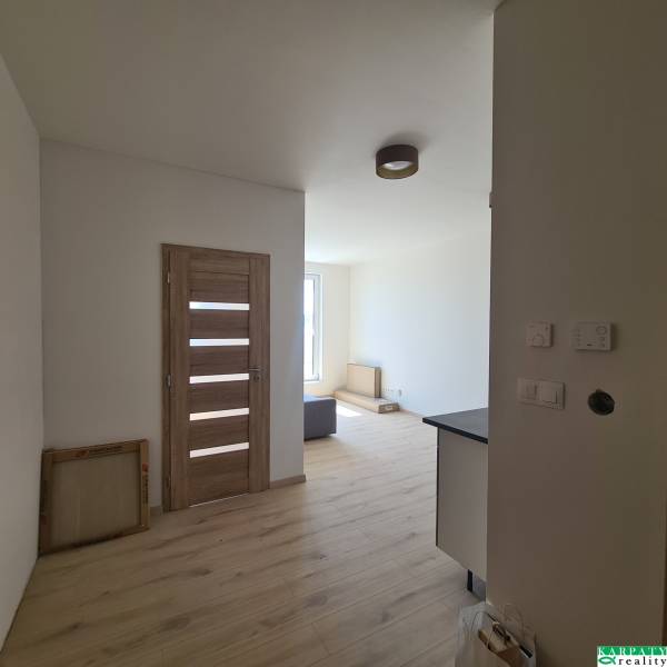 Innenraum einer Einzimmerwohnung mit Holzboden, Türen und weißen Wänden.