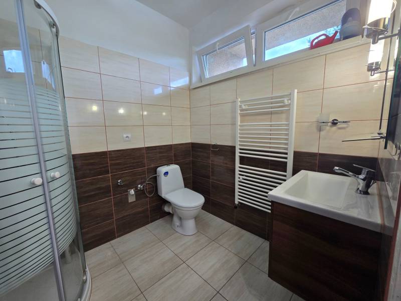 Badezimmer in einem Einfamilienhaus mit Toilette, Waschbecken und Dusche.