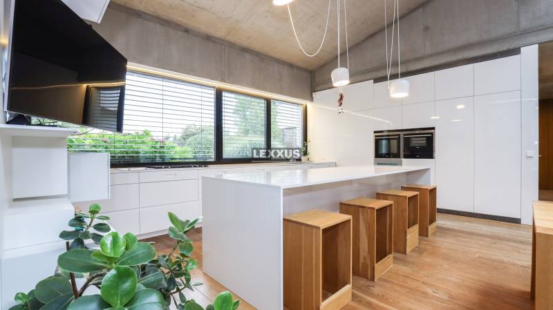 Küche in einem Einfamilienhaus mit großer Insel, hölzernen Barhockern und einer Pflanze.