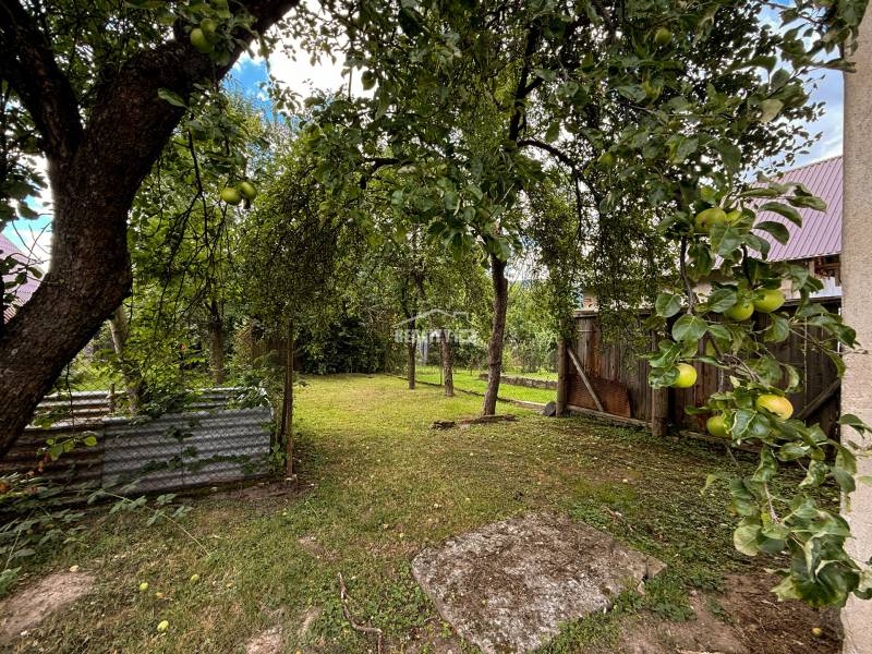 Obstbäume im Garten bei der Hütte in Papradno mit Apfelernte und Holzzaun.