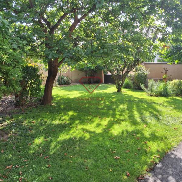 Der Garten des Einfamilienhauses in der Šalská-Straße in Šaľa mit Rasen und Bäumen.