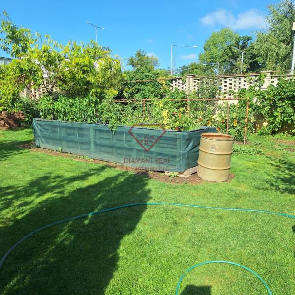 Der Garten beim Einfamilienhaus in der Šalská-Straße in Šaľa mit einem Hochbeet und Rasen.