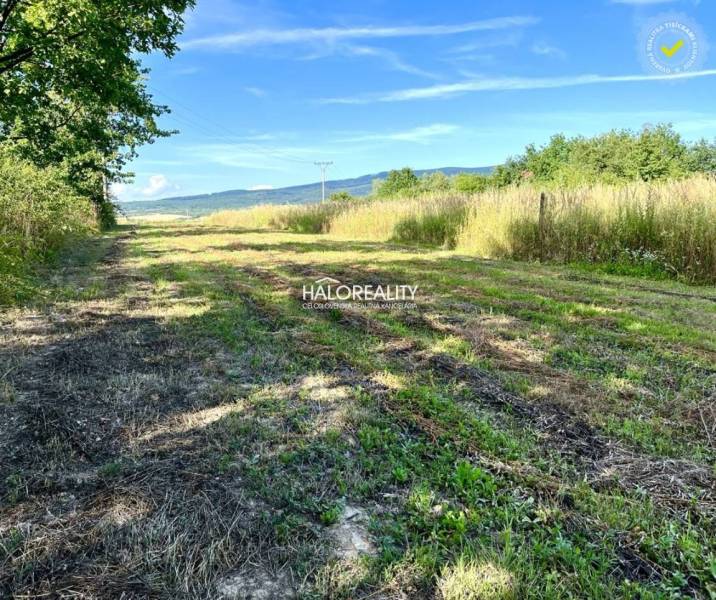 Ein grasbewachsener Weg zwischen Feldern und Bäumen in Kolibabovce, ideal für Grundstücke - Wohnen.