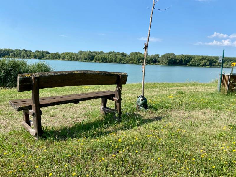 Eine Bank am See, umgeben von Gras und Blumen in Vojka nad Dunajom.