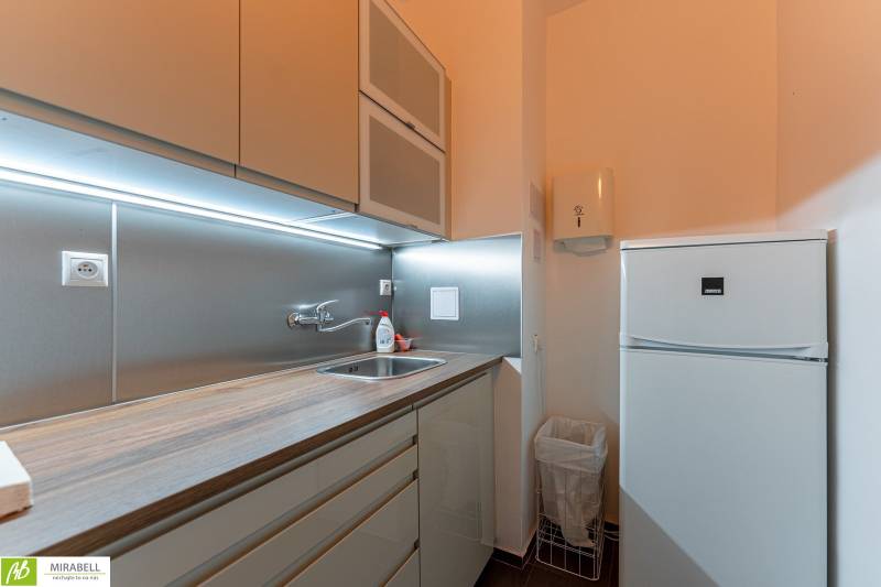 Küchenecke im Büro mit Kühlschrank und Holzarbeitsplatte.