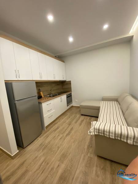 Ferienwohnung mit Küchenzeile, Kühlschrank und bequemer Couch auf Holzboden.