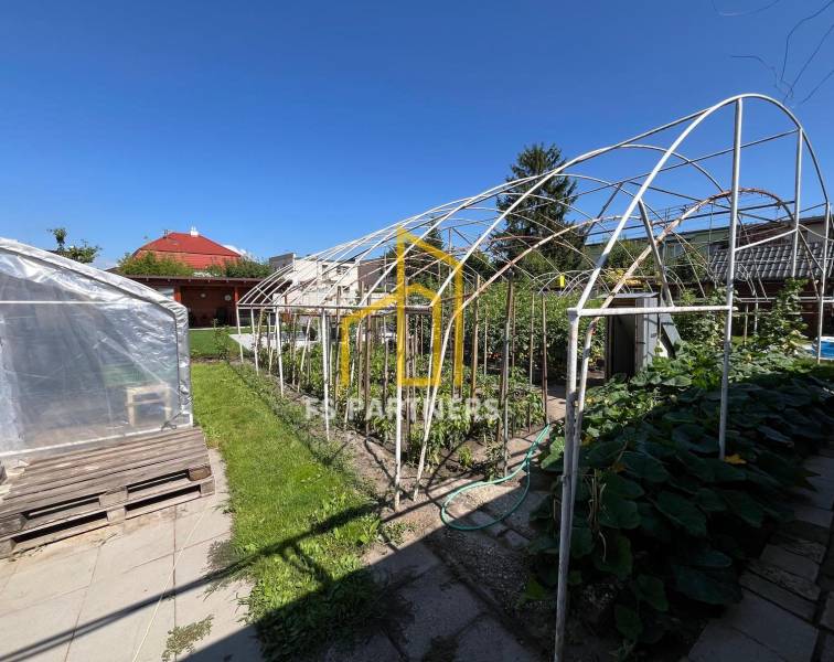 Ein Garten bei einem Einfamilienhaus in Komárno mit einem Folientunnel und einer Konstruktion zum Anbau.
