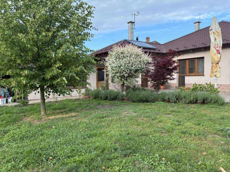 Ein Einfamilienhaus in Malacky mit einem blühenden Garten und Rasen, einem Baum und Sträuchern vor dem Haus.