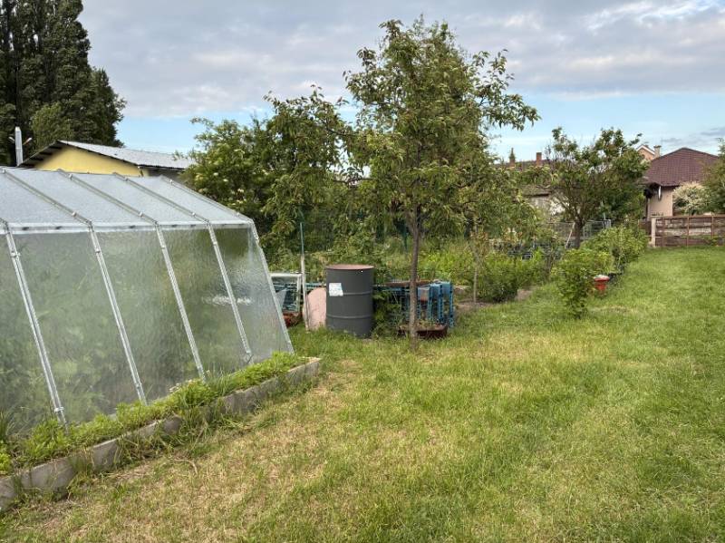 Garten bei einem Einfamilienhaus in Malacky mit einem Folientunnel und Obstbäumen.