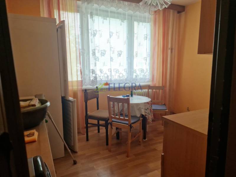 Küche in einer Einzimmerwohnung mit Tisch, Stühlen und Kühlschrank.