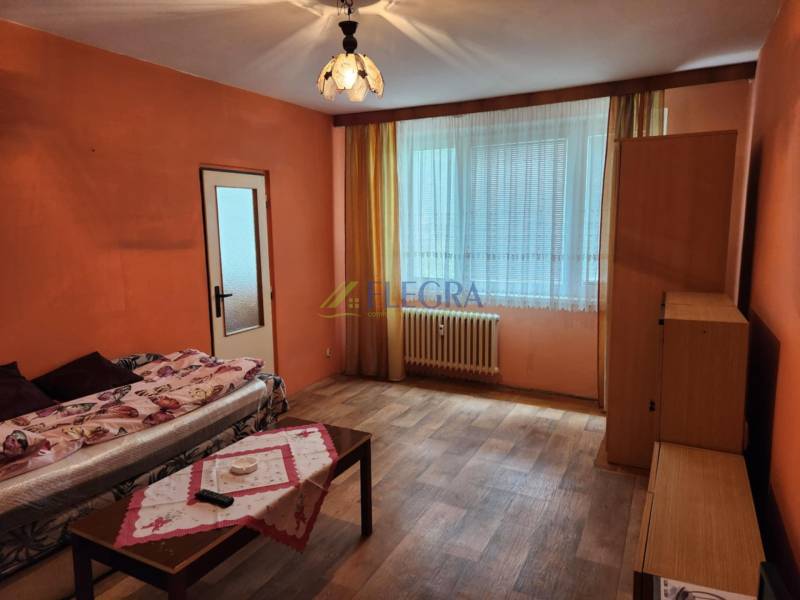 Wohnzimmer in einer Einzimmerwohnung mit Sofa, Tisch und Fenster mit Heizkörper.