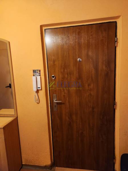 Holztür in einer Einzimmerwohnung, daneben eine Gegensprechanlage und ein Kleiderschrank.