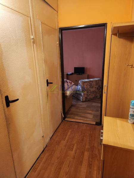 Der Flur in einer Einzimmerwohnung mit Türen, die ins Wohnzimmer führen.