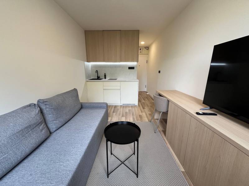Einzimmerwohnung mit Kochnische, Sofa und Fernseher, helles Holz und graue Möbelakzente.