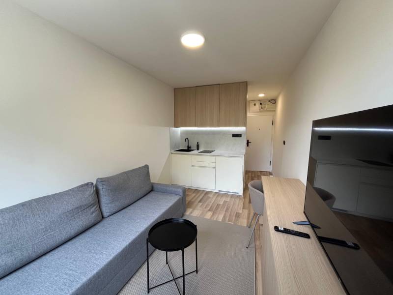 Einzimmerwohnung mit Kochnische, Sofa und Fernseher, geeignet zum Wohnen.