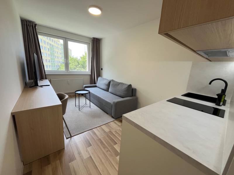 Einzimmerwohnung mit Sofa, Küchenzeile und Fernseher, einfaches und funktionales Interieur.