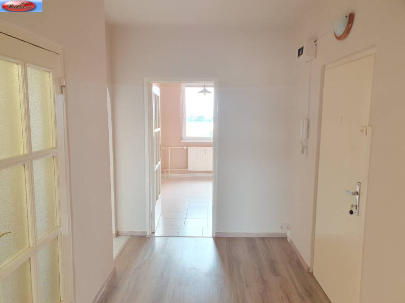 Innenraum einer 3-Zimmer-Wohnung mit Laminatboden und Glastüren zur Küche.