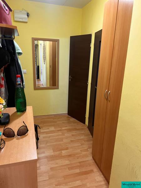 Flur in einer 3-Zimmer-Wohnung mit Holzboden, Einbauschrank und Spiegel.