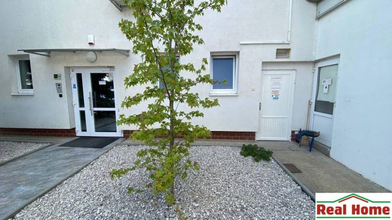 Eingang zu Geschäftsräumen mit weißer Fassade und kleinem Baum im Vordergrund.