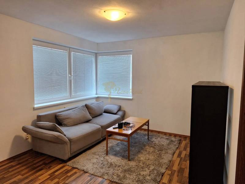 Wohnzimmer in einer 2-Zimmer-Wohnung mit Sofa, Tisch und Teppich auf Holzboden.