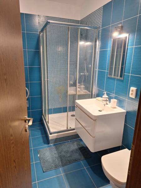 Badezimmer mit blauen Fliesen und Duschkabine in einer 2-Zimmer-Wohnung.