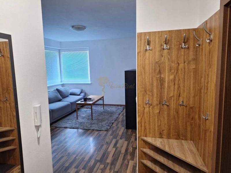 In der 2-Zimmer-Wohnung gibt es ein Sofa, einen Couchtisch, eine Holzverkleidung und Kleiderhaken.