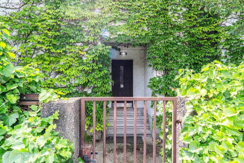 Der überwucherte Eingang des Hauses in der Brnianska-Straße in Bratislava - Altstadt.