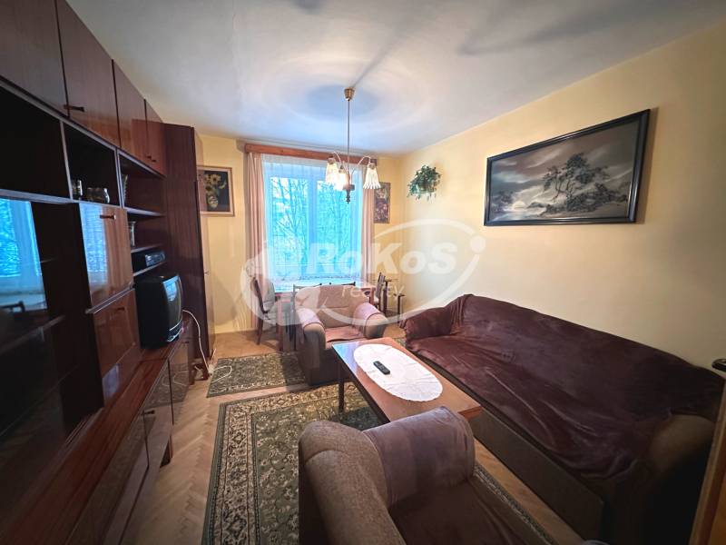 Wohnzimmer in einer 3-Zimmer-Wohnung mit Sofa, Teppich, Bild und Schrankwand.