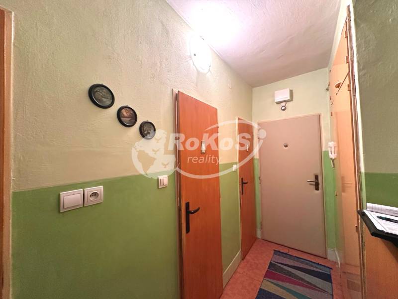 Der Flur in einer 3-Zimmer-Wohnung mit bunten Wänden und hängenden Dekorationselementen.