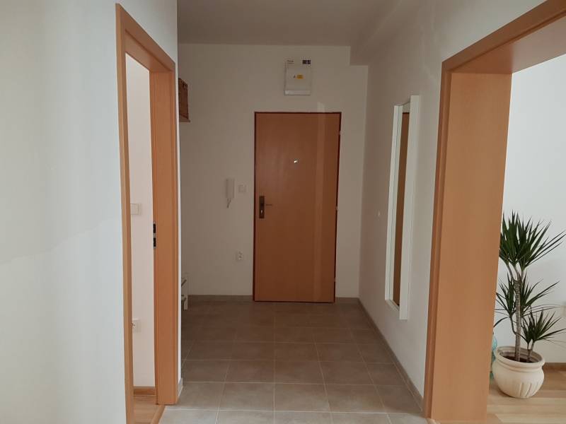 Eingangsbereich mit Zimmertüren und einer Pflanze in einer 2-Zimmer-Wohnung.