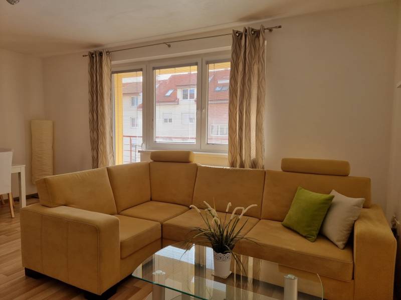 Wohnzimmer in einer Zweizimmerwohnung mit einem bequemen hellbraunen Sofa und einem Glastisch.